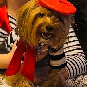 PARIS Red Beret, striped shirt and Scarf Dog Outfit